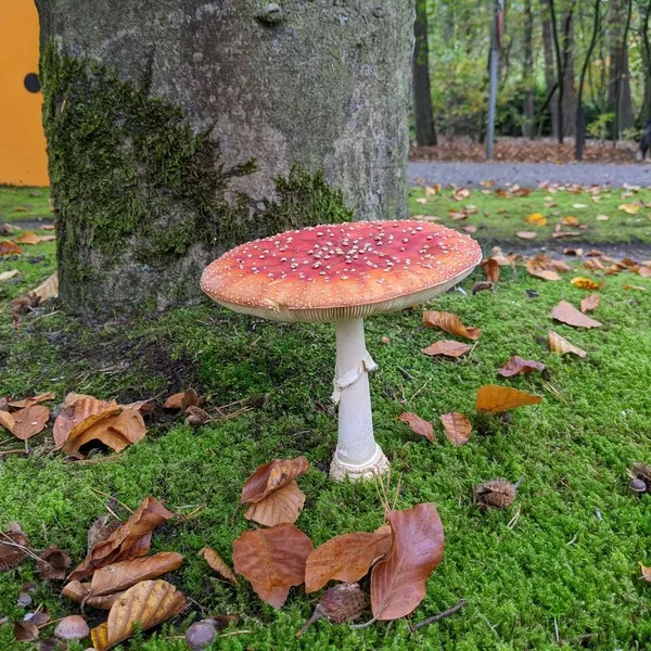 Foto 3