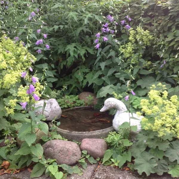 Foto 9