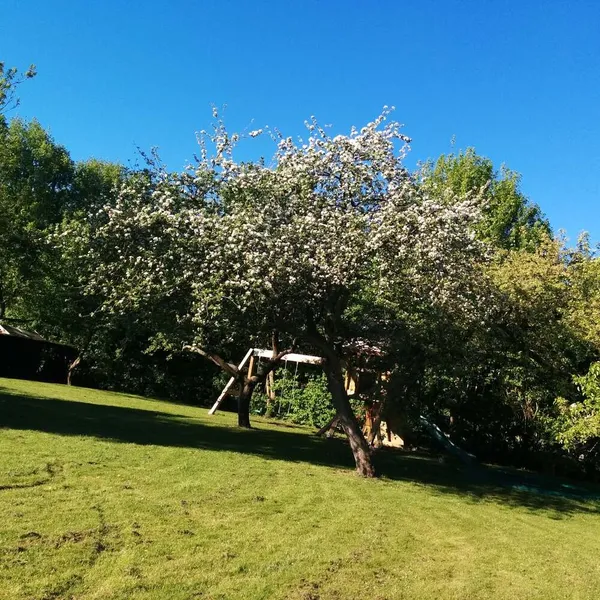 Foto 9