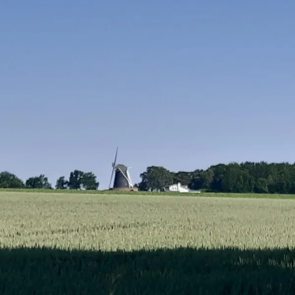 Foto 10
