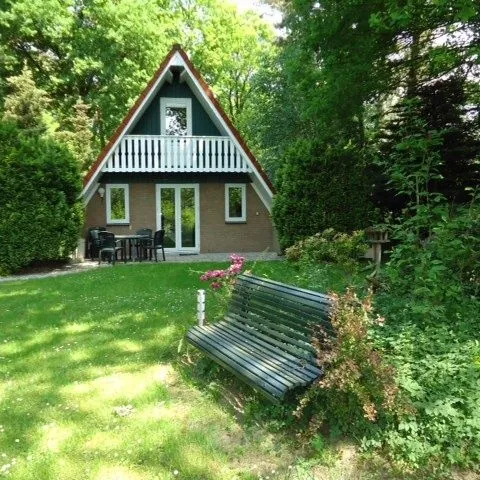 Image 9