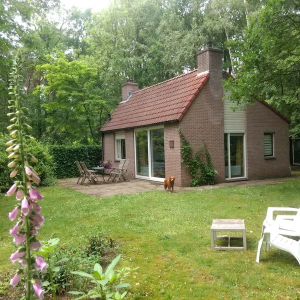 Image 4