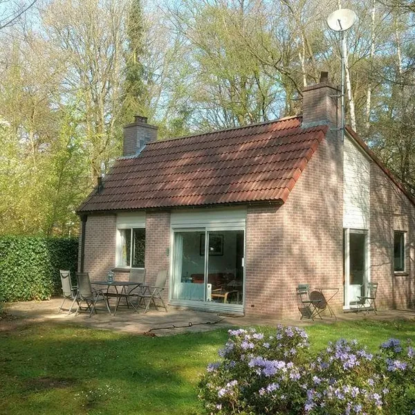 Image 9