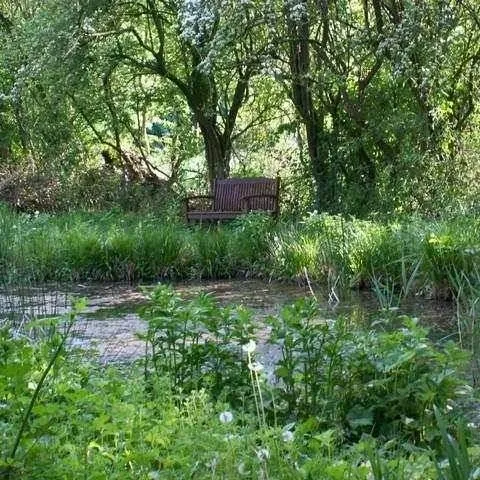Foto 7