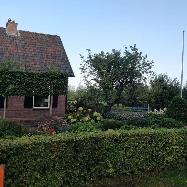 Foto 4