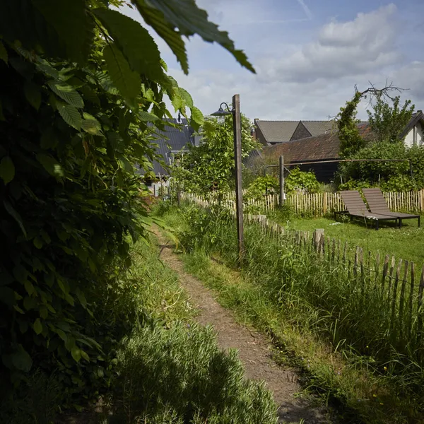 Foto 10