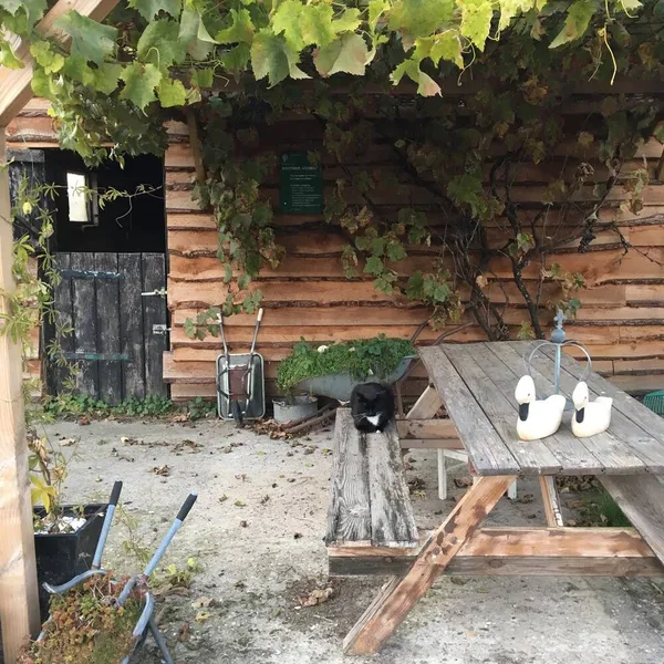 Foto 4