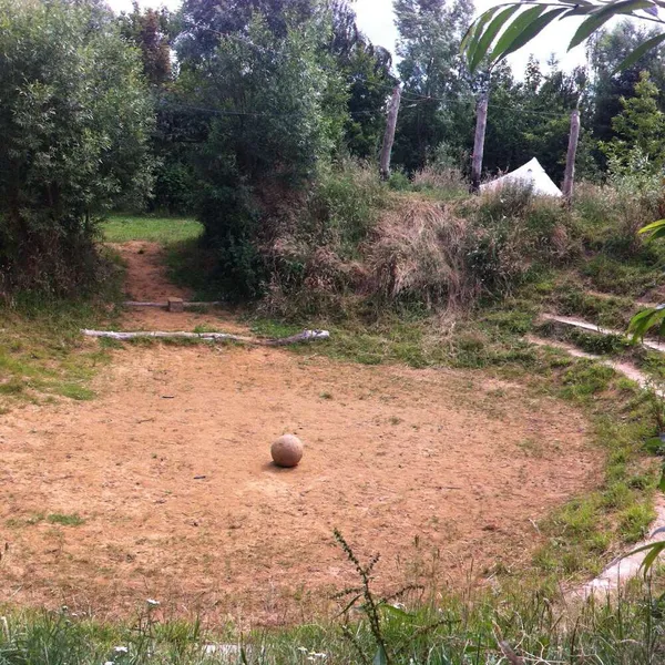 Foto 5