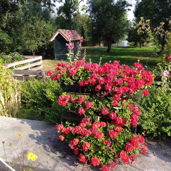 Foto 2