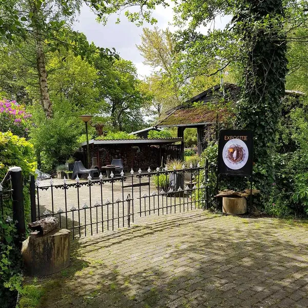 Foto 7
