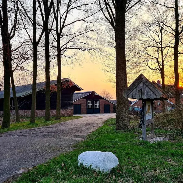 Foto 10
