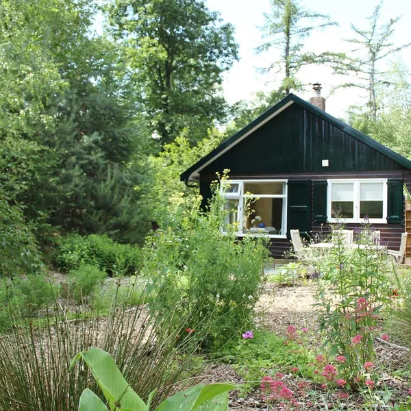 Foto 1
