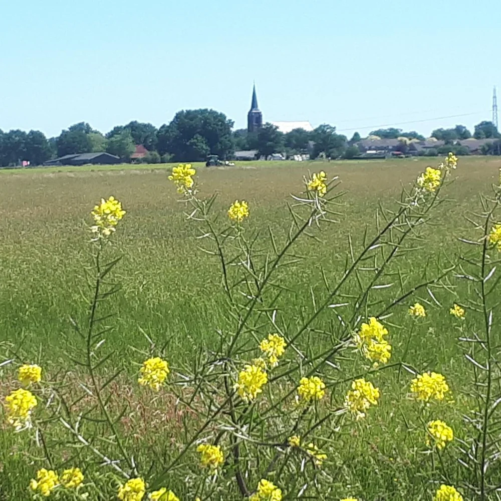 Bed & Breakfast 't Lierderholt in Lierderholthuis