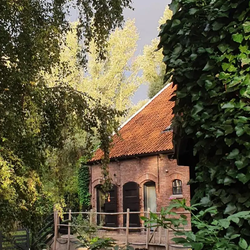 Foto 1