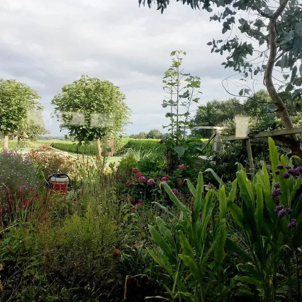 Foto 7