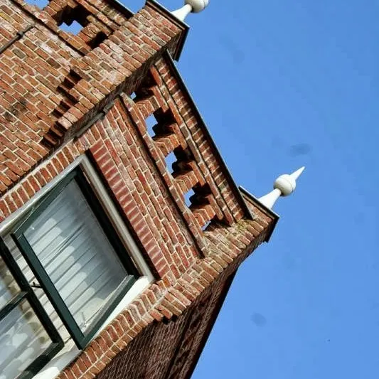 Image 9