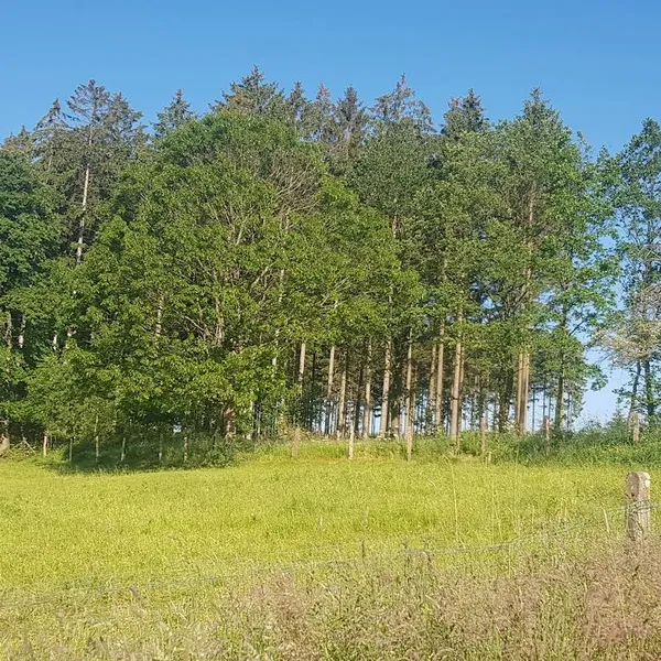 Foto 10