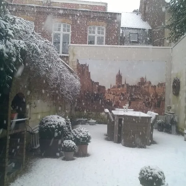 Foto 9