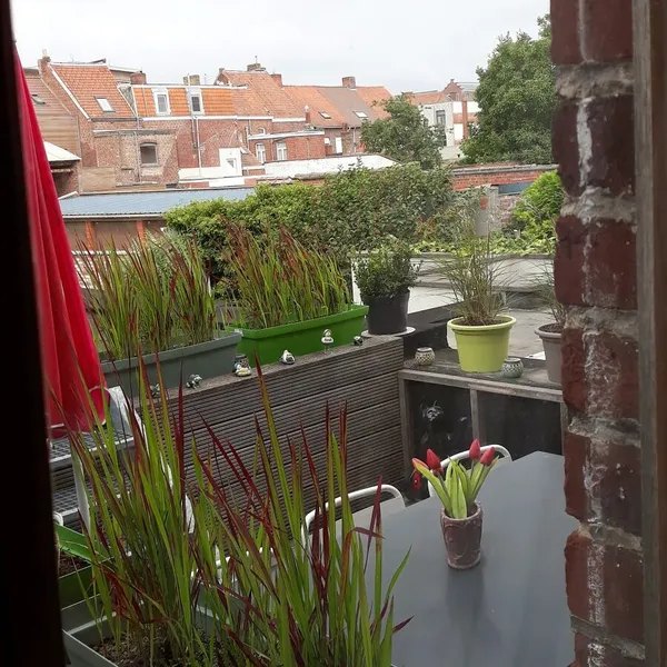 Foto 10
