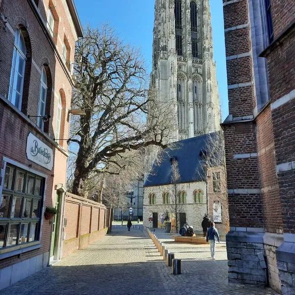 Foto 10