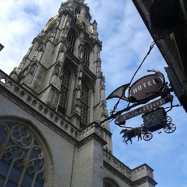 Image 7