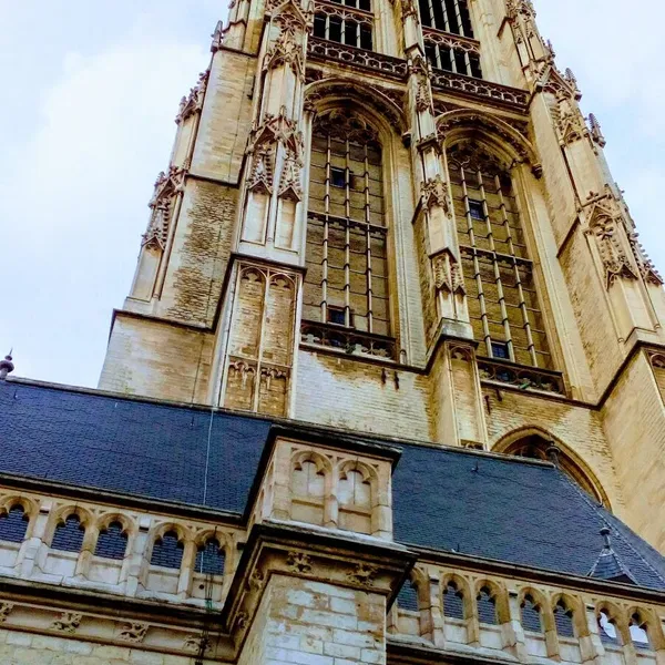 Image 8