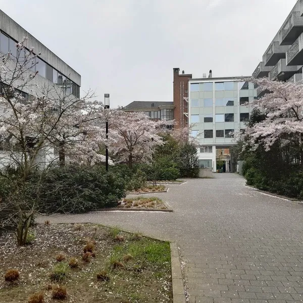 Short stay Leuven