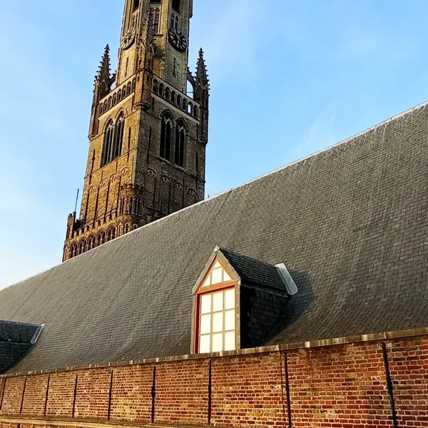 Image 9