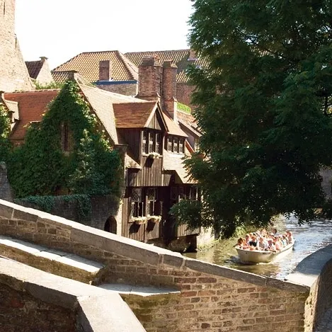 Image 8