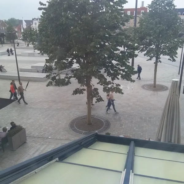 Image 7