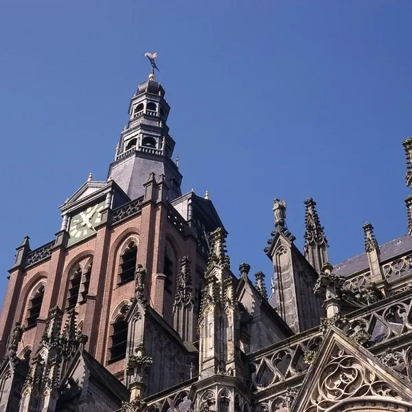 Image 24