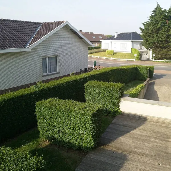 Foto 10