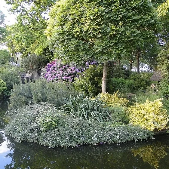 Image 20