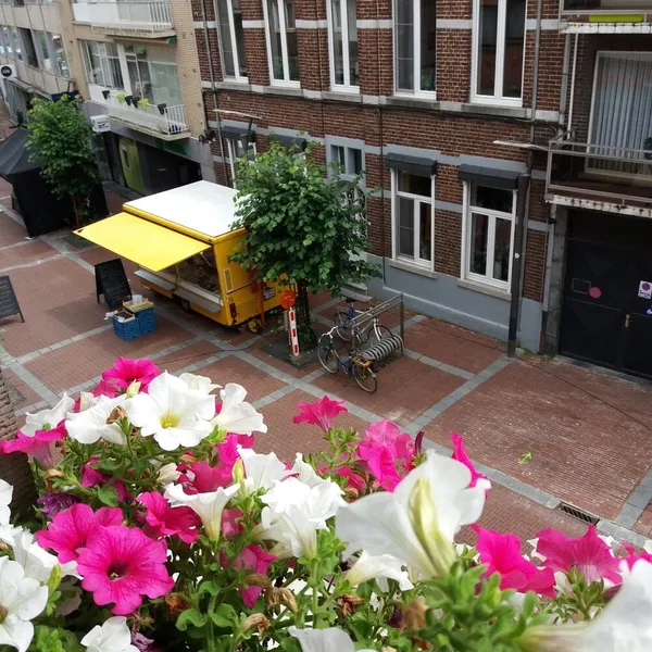 Foto 10