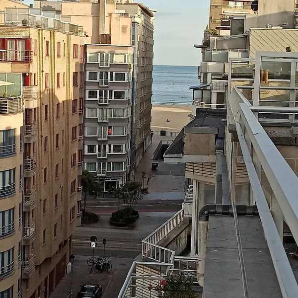 Image 6