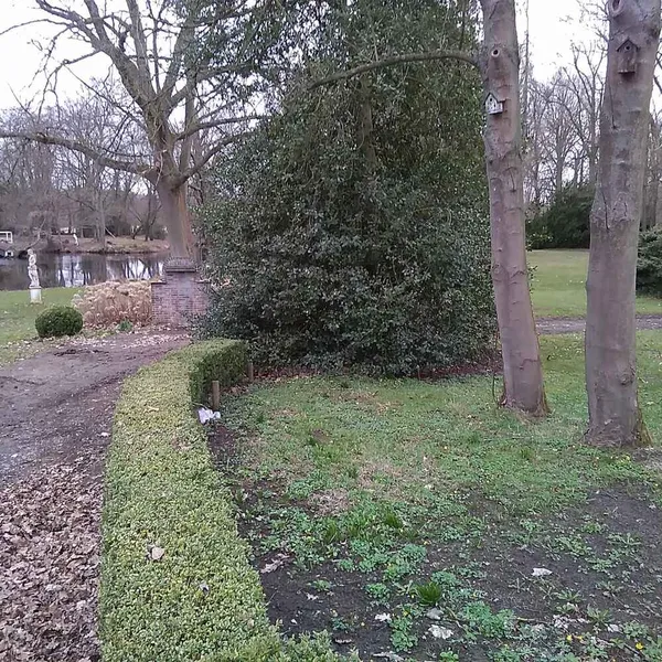 Foto 3
