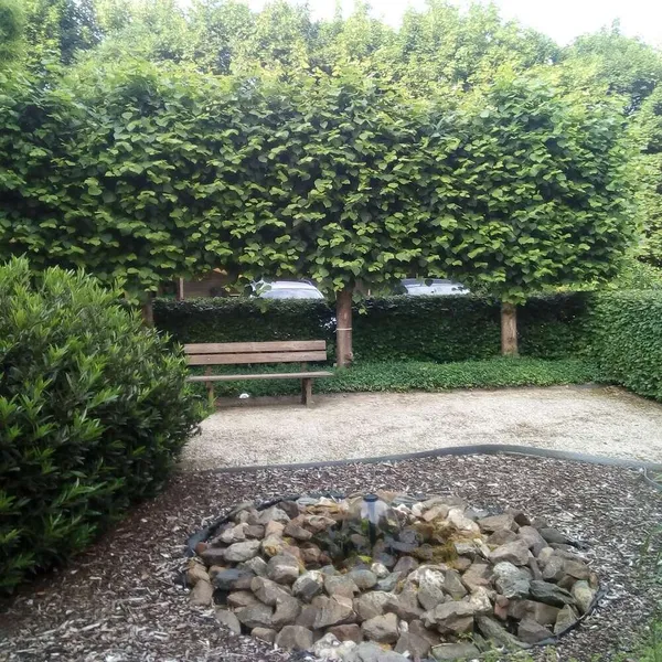 Foto 9
