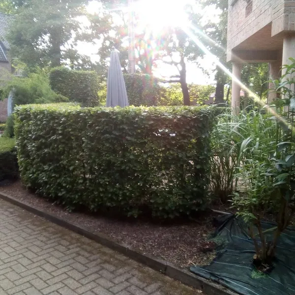 Foto 10