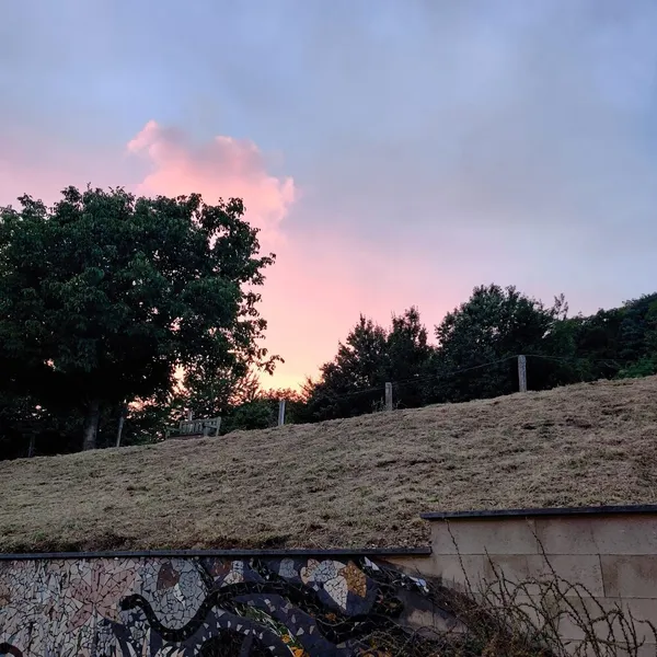 Foto 10