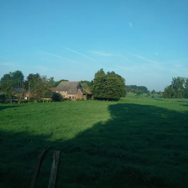 Foto 7