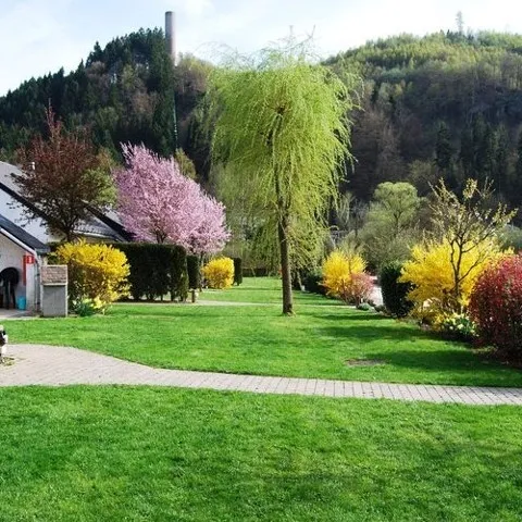 Foto 6