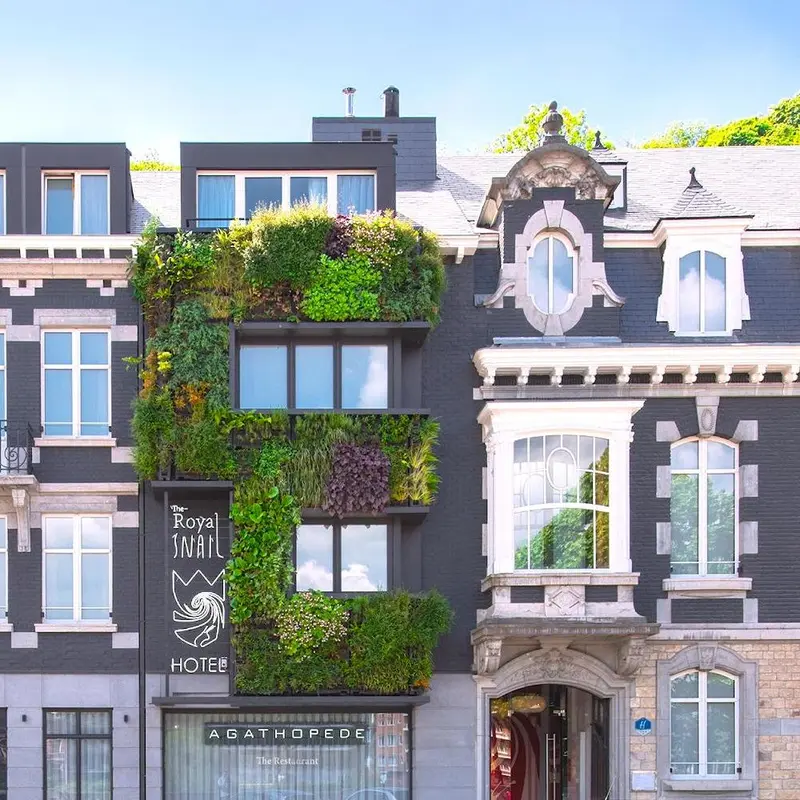 The Royal Snail Hotel