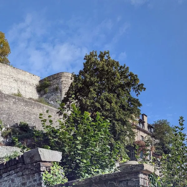 Mademoiselle Citadelle