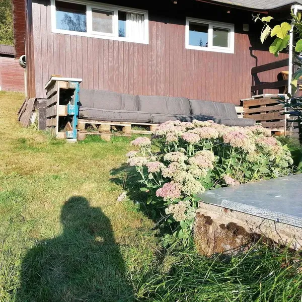 Foto 1