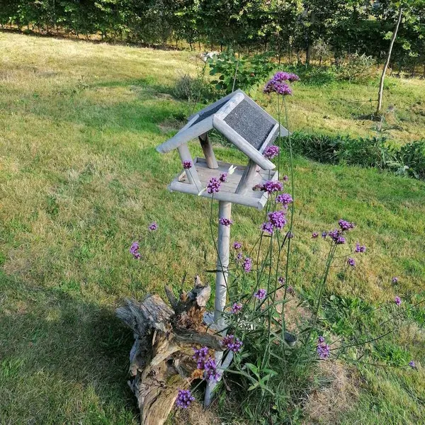 Foto 10
