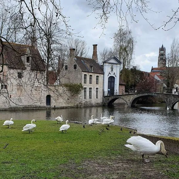 Image 10