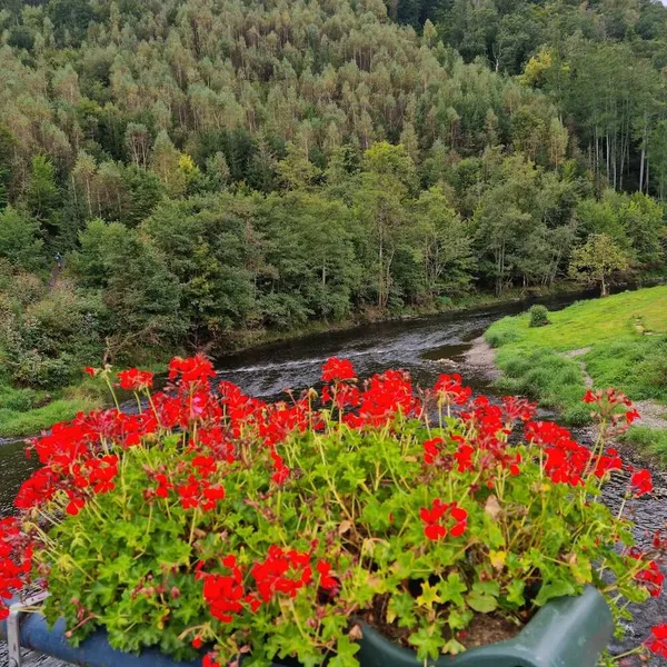 Foto 10