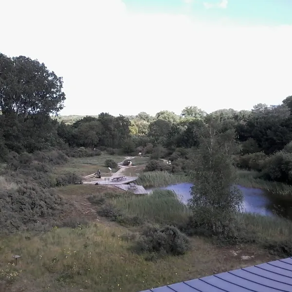 Foto 9