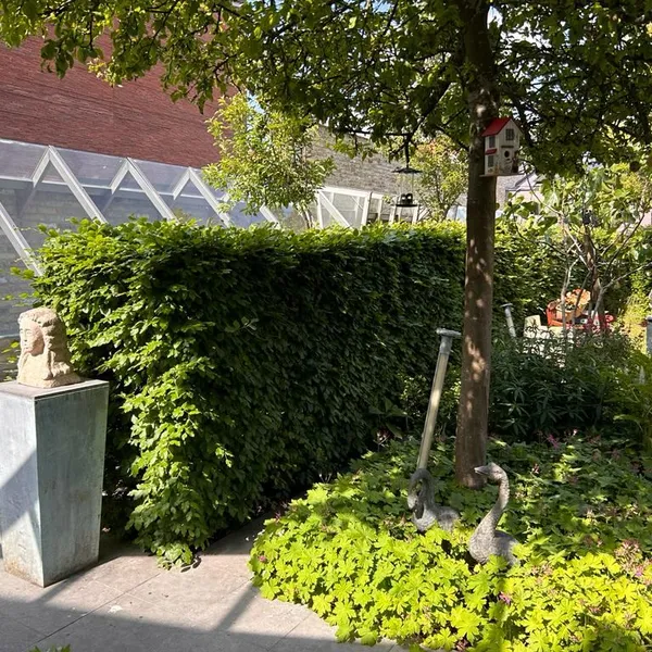Foto 7
