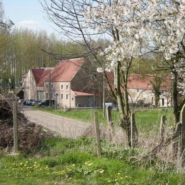 Foto 1